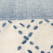 blue swatch  