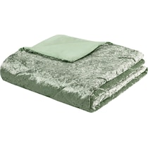 briella green full queen bedding set   
