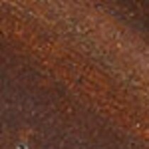 bronze swatch  