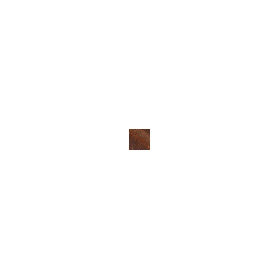 bronze swatch  
