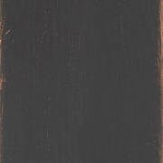 bronze swatch  