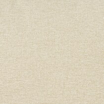 brown swatch  