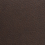 brown swatch  