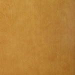 brown tan swatch  