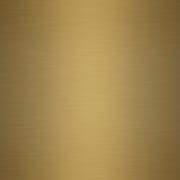 Marcellus Wall Mirror - Brushed Gold