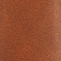 camel swatch  