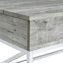 caraway gray end table   