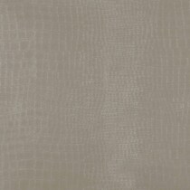 champagne swatch  