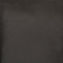 charcoal swatch  