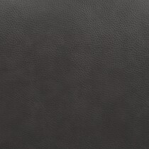charcoal swatch  