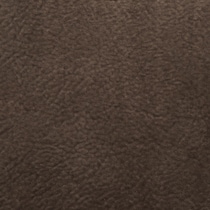 chocolate swatch  