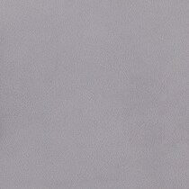chrome silver swatch  