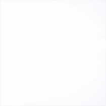chrome white swatch  
