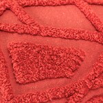 coral swatch  