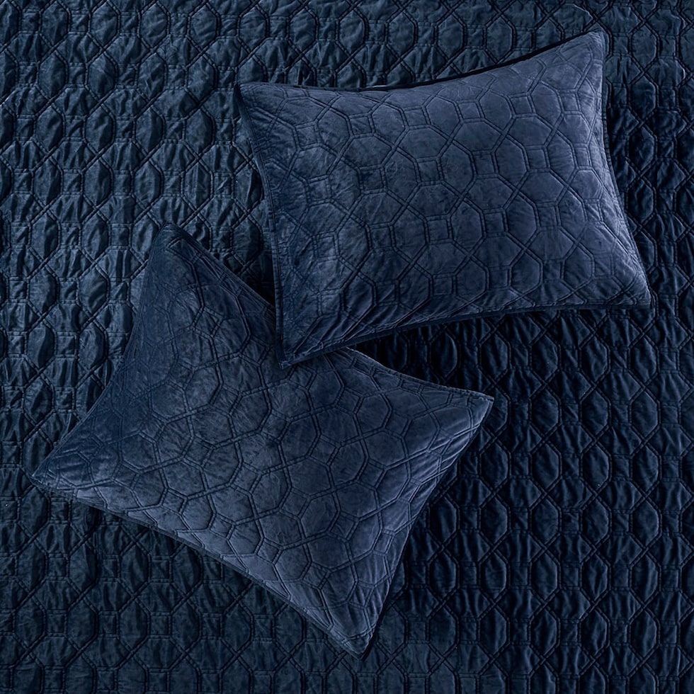 coraline blue full queen bedding set   