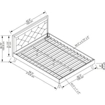 courtney dimension schematic   