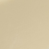 cream swatch  