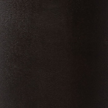 dark bronze swatch  