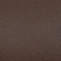 dark brown swatch  