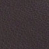 dark brown swatch  