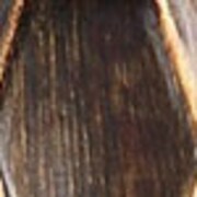 dark brown swatch  