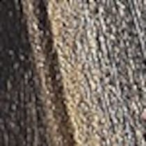 dark brown swatch  