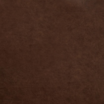 dark brown swatch  