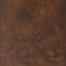dark brown swatch  