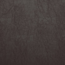 dark brown swatch  