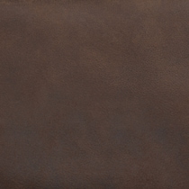 dark brown swatch  