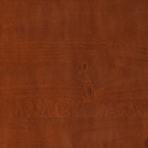 dark brown swatch  