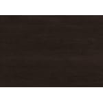 dark brown swatch  