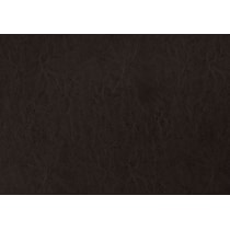dark brown swatch  