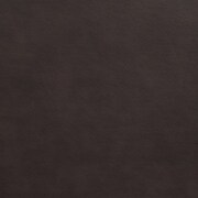 dark brown swatch  