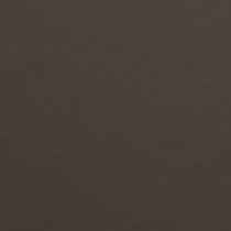 dark brown swatch  