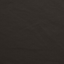 dark brown swatch  