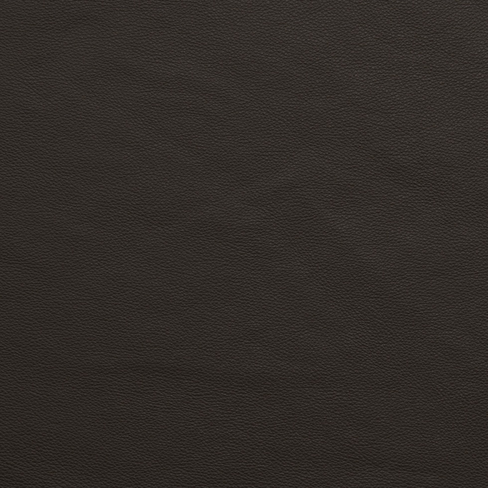 dark brown swatch  