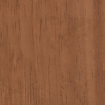 dark brown swatch  