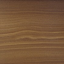 dark brown swatch  