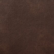 dark brown swatch  
