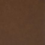 dark brown swatch  