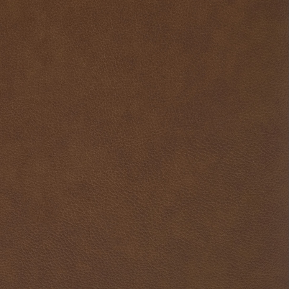 dark brown swatch  