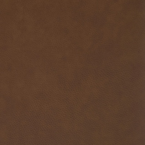 dark brown swatch  