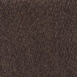 dark brown swatch  