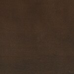dark brown swatch  
