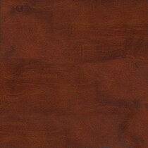 dark brown swatch  