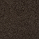 dark brown swatch  