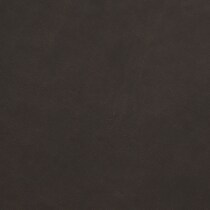 dark brown swatch  