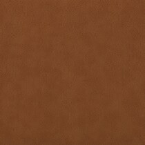 dark brown swatch  
