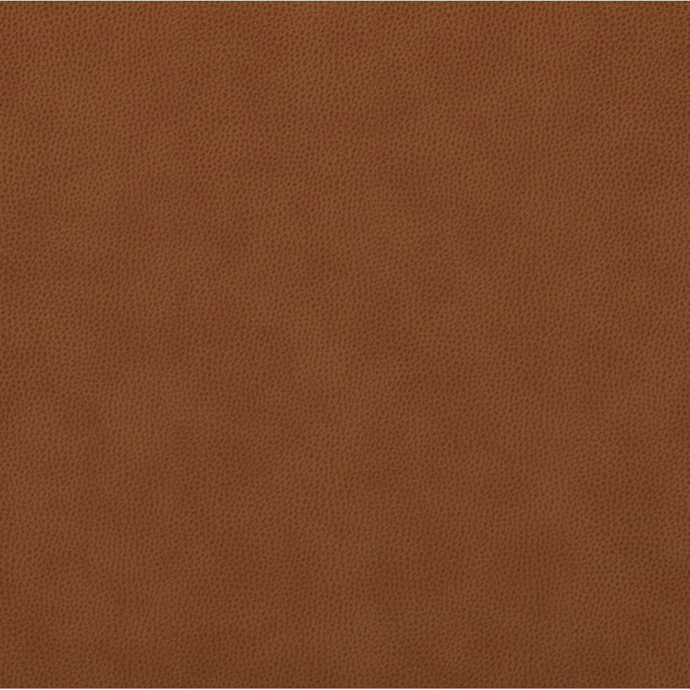 dark brown swatch  
